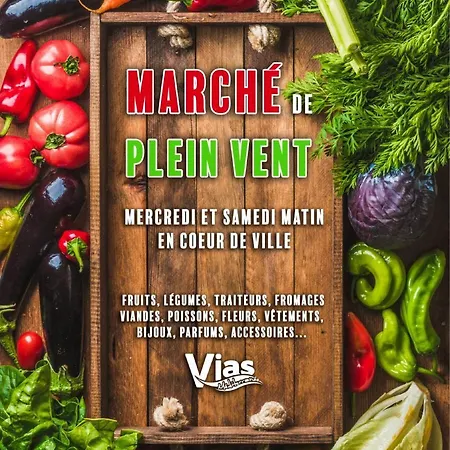 Agence Jf Immo- Maison De Avec Climatisation Pour 6 Personnes Et Stationnement Prive V0865 Prázdninový dům Vias