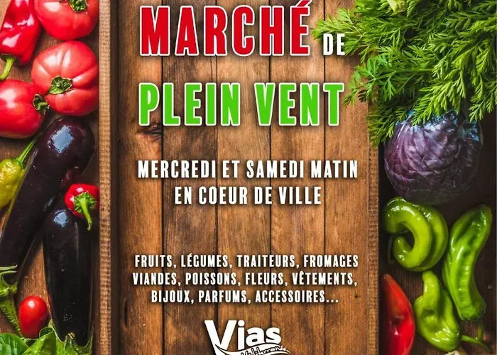 V0865 - Maison De Avec Climatisation Pour 6 Personnes Et Stationnement Prive Dom wakacyjny Vias
